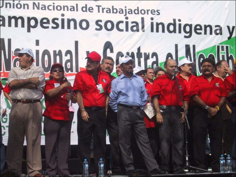 imagen 7